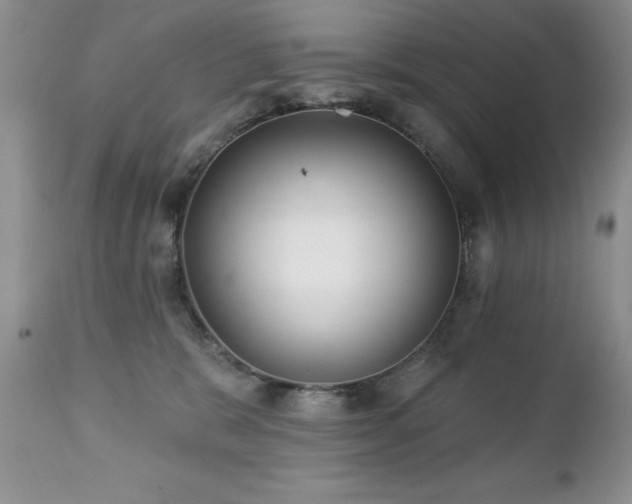 X0000112460327200908171209
