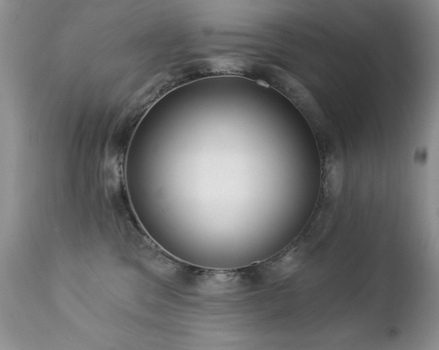 X0000112460329200908171209