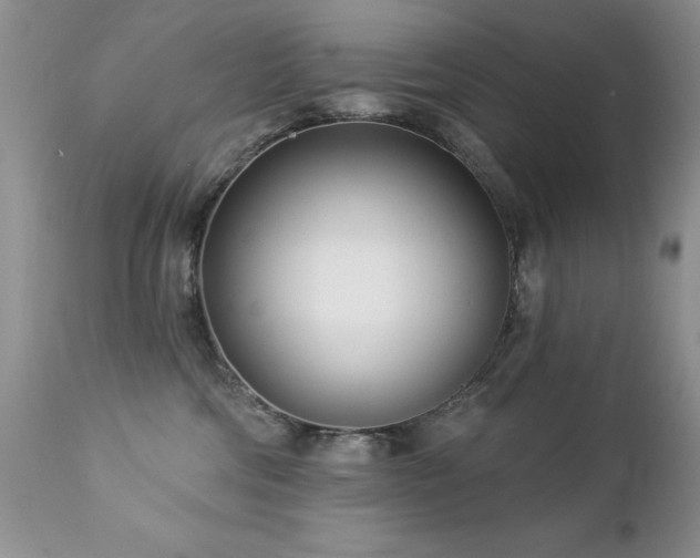 X0000112460330200908171209