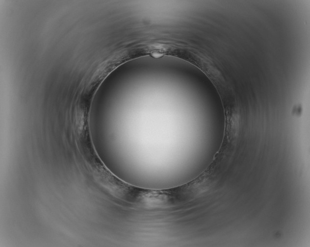 X0000112460331200908171209