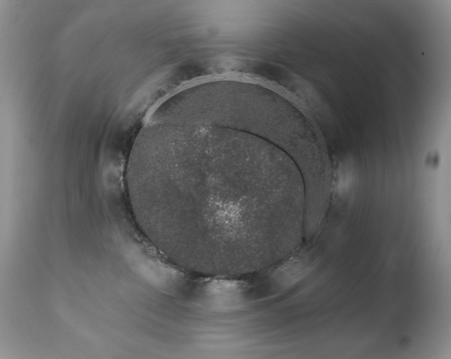 X0000112460332200908171209