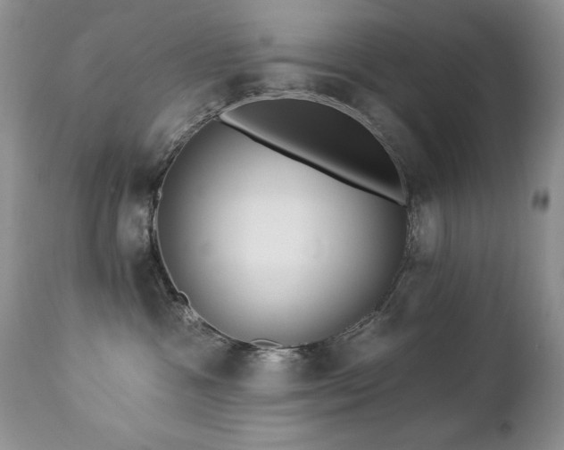 X0000112460333200908171209