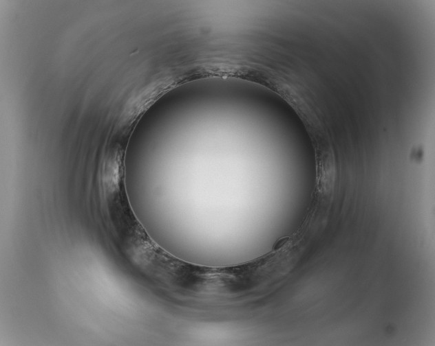 X0000112460334200908171209