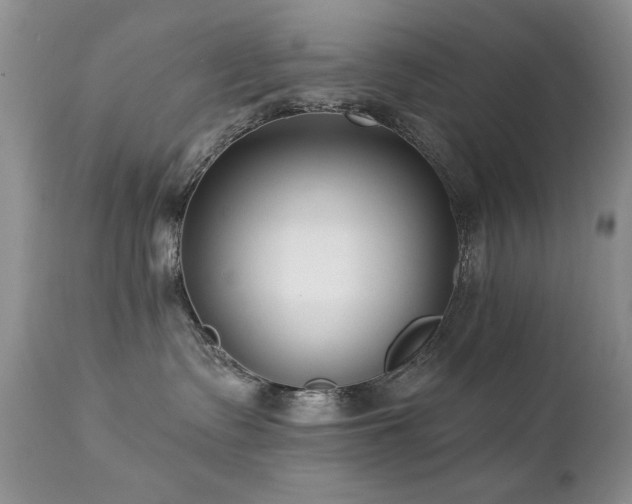 X0000112460335200908171209