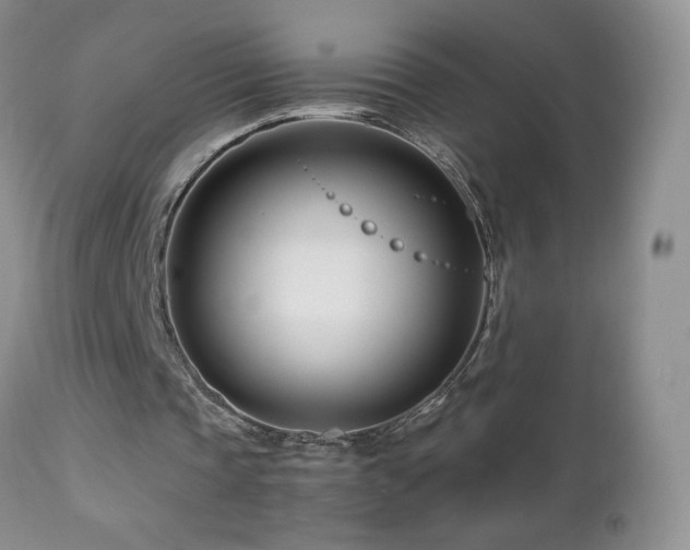X0000112460337200908171208