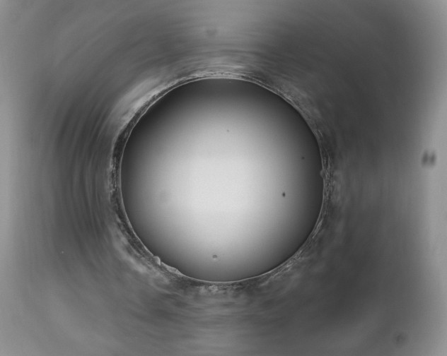 X0000112460338200908171208