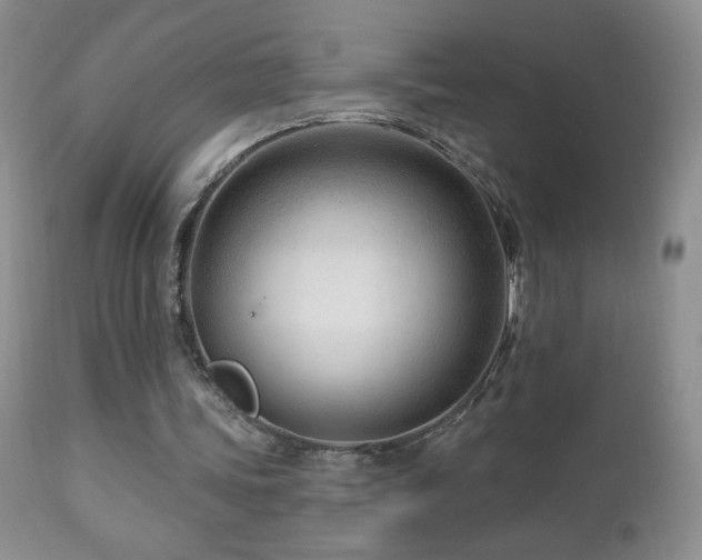 X0000112460339200908171208