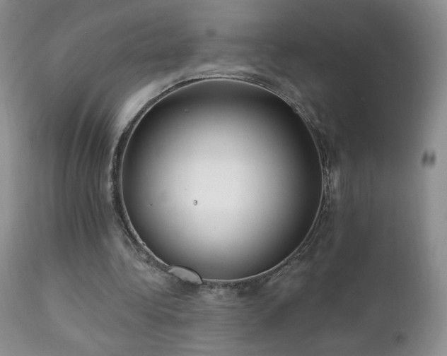 X0000112460340200908171208