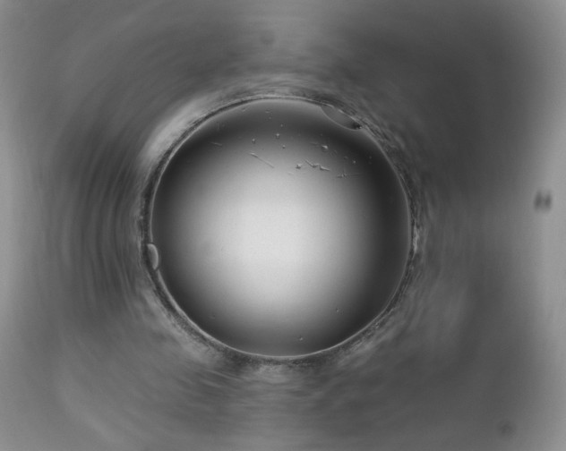 X0000112460341200908171208