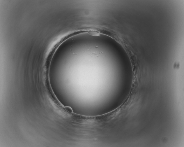 X0000112460342200908171208