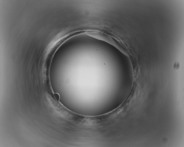 X0000112460343200908171208