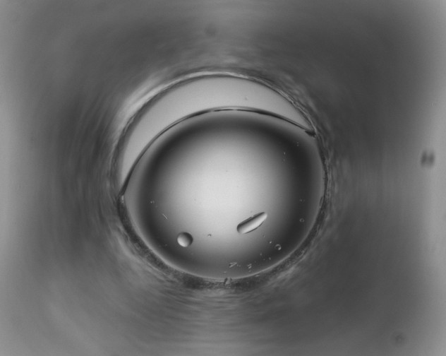 X0000112460344200908171208