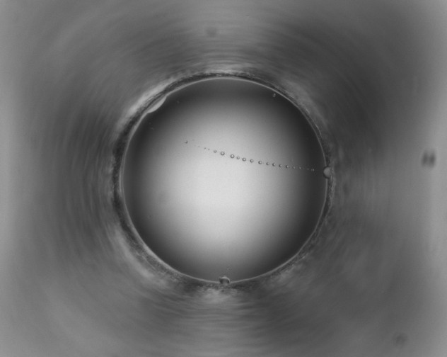 X0000112460346200908171208