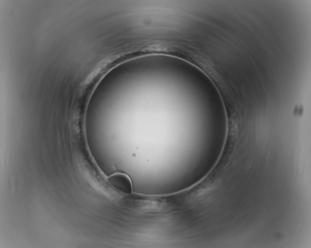 X0000112460347200908171208