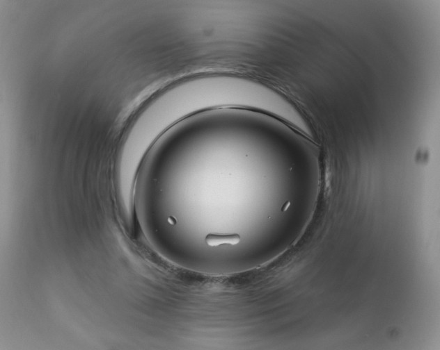 X0000112460348200908171208