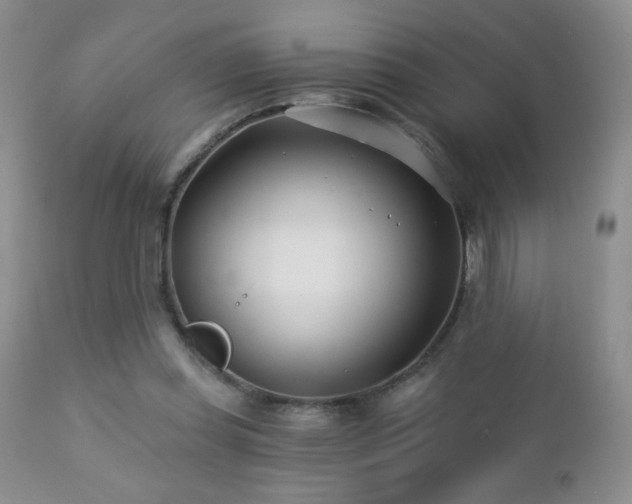 X0000112460349200908171208