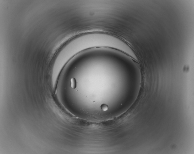 X0000112460350200908171208