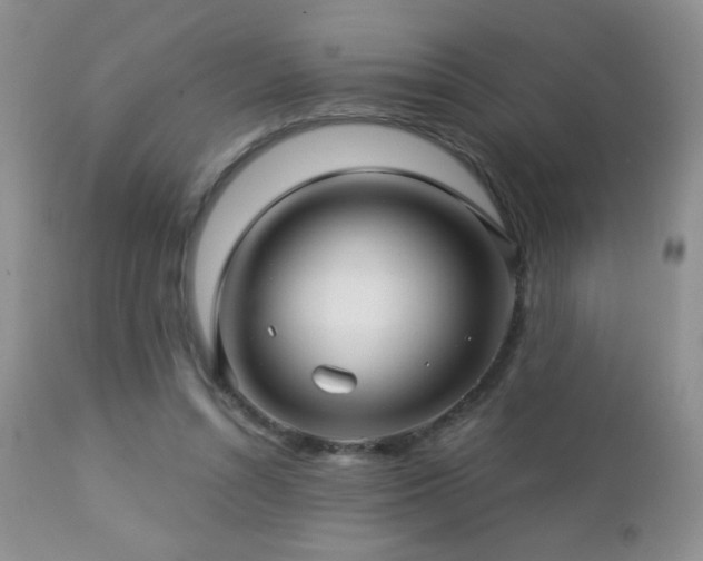 X0000112460352200908171208