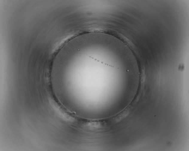 X0000112460353200908171208