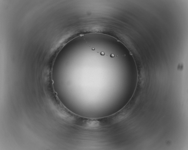 X0000112460355200908171208
