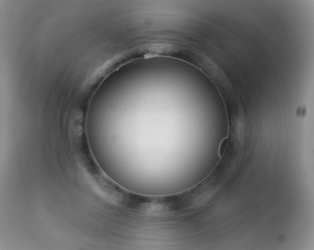 X0000112460356200908171208