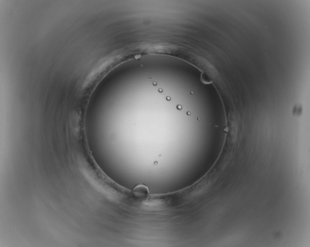 X0000112460357200908171208
