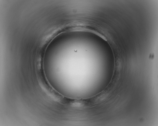 X0000112460358200908171208