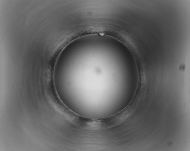 X0000112460362200908171208