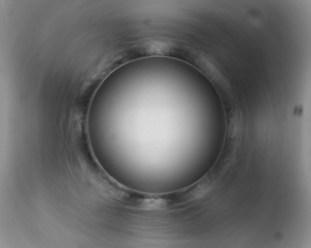 X0000112460363200908171208