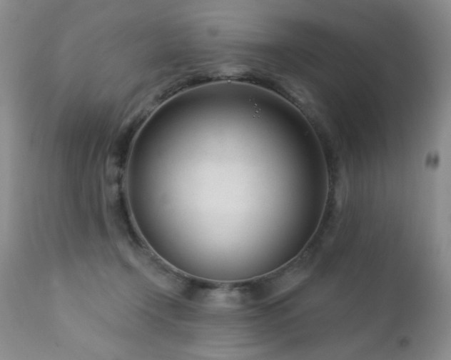 X0000112460366200908171208