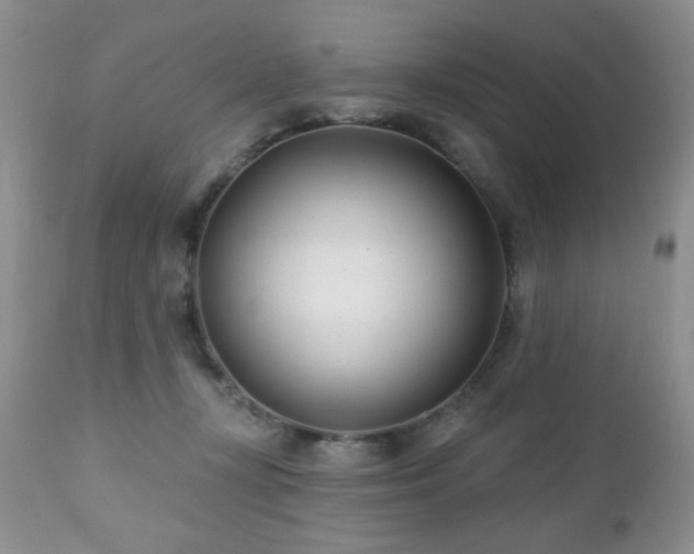 X0000112460367200908171208