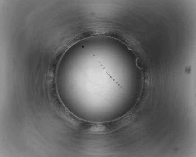 X0000112460369200908171208