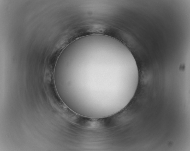 X0000112460370200908171208