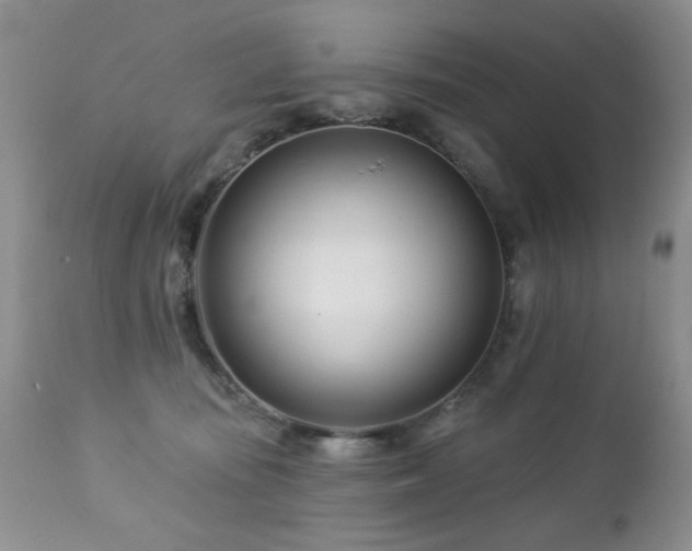 X0000112460371200908171208