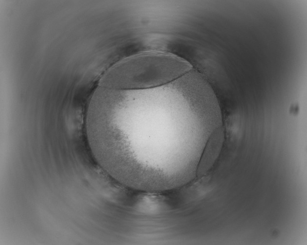 X0000112460372200908171208