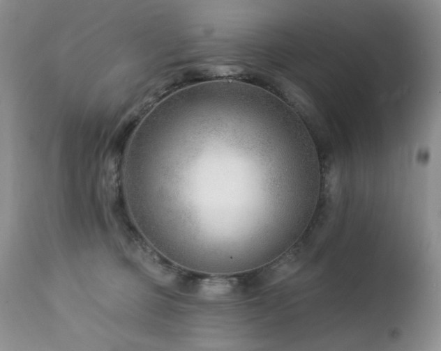 X0000112460373200908171209