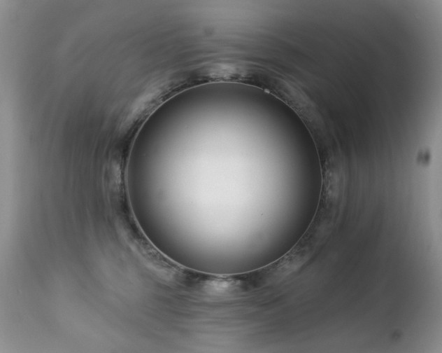 X0000112460375200908171209