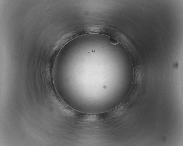 X0000112460377200908171209
