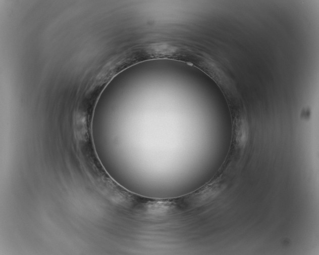 X0000112460378200908171209