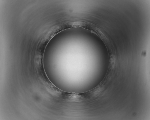 X0000112460379200908171209