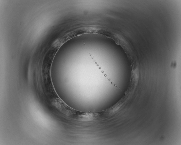 X0000112460381200908171209