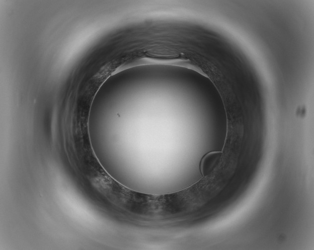 X0000112460382200908171209