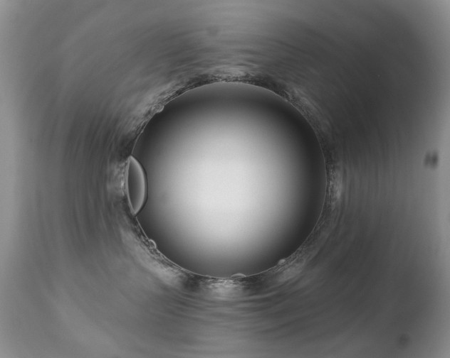 X0000112460383200908171209