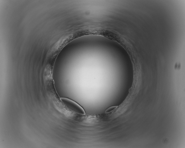 X0000112460384200908171209