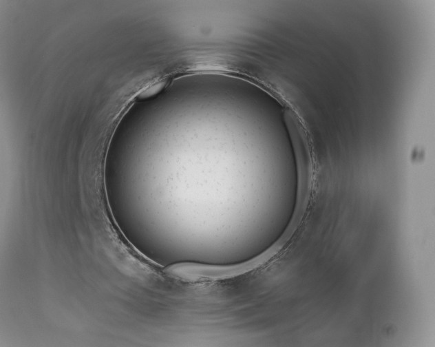 X0000112460385200908171208