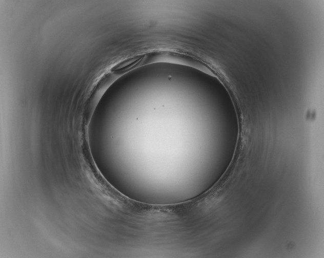 X0000112460386200908171208