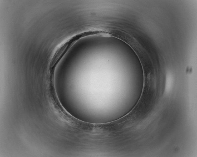X0000112460388200908171208