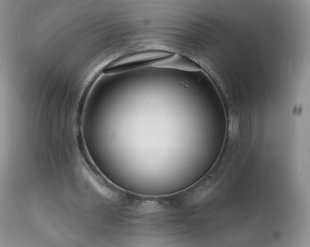 X0000112460390200908171208