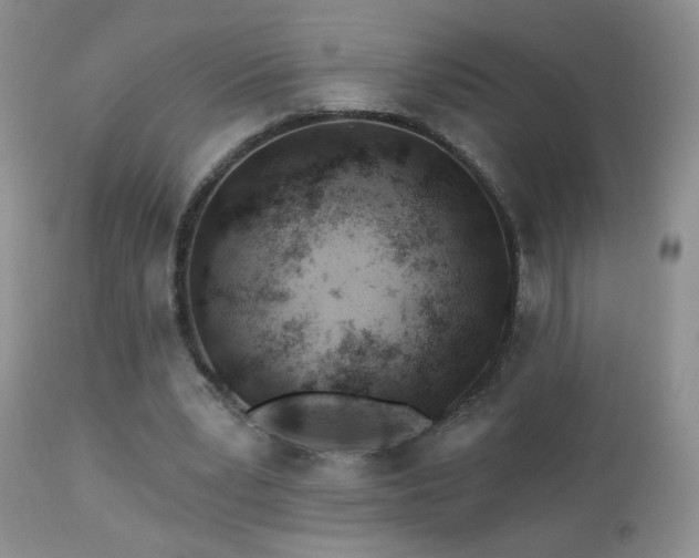 X0000112460391200908171208