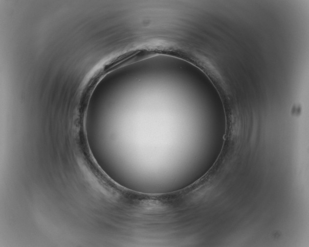 X0000112460392200908171208